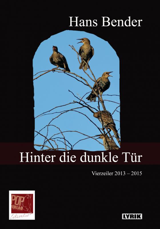 Cover-Bild Hinter die dunkle Tür