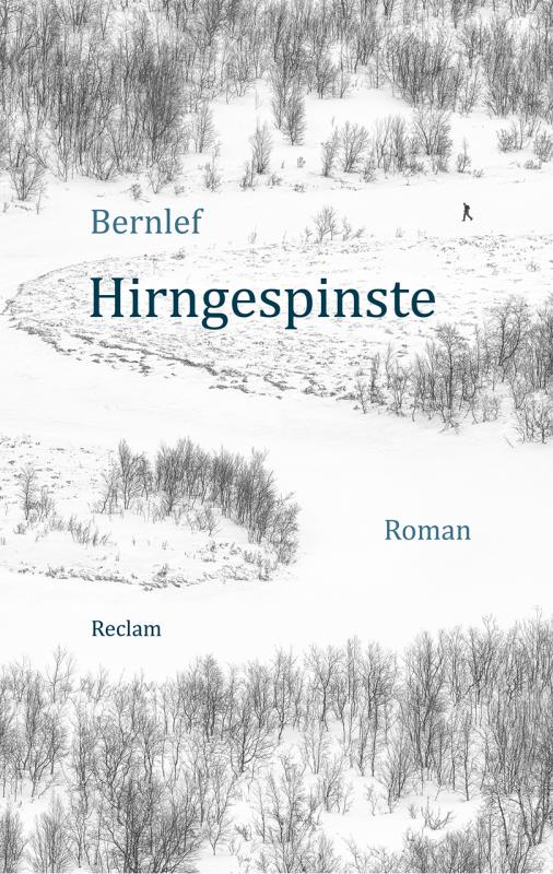 Cover-Bild Hirngespinste