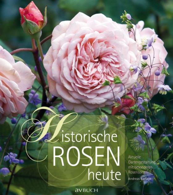 Cover-Bild Historische Rosen heute