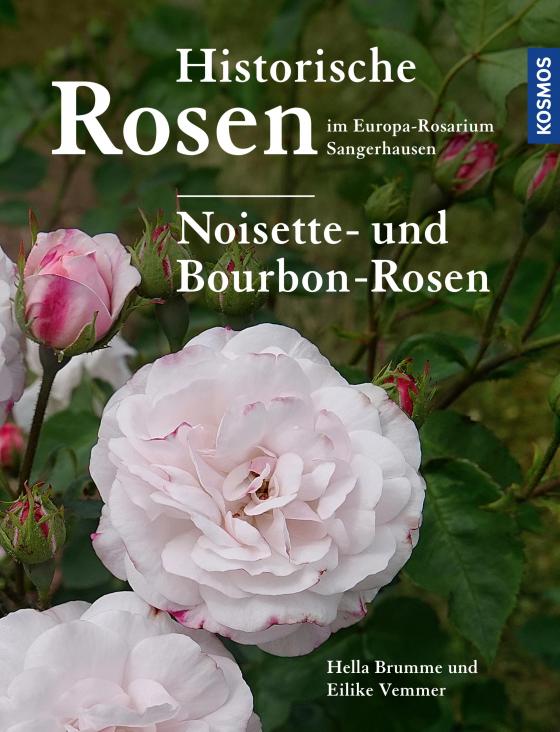 Cover-Bild Historische Rosen im Europa Rosarium Sangerhausen: Noisette- und Bourbon-Rosen