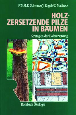 Cover-Bild Holzzersetzende Pilze in Bäumen
