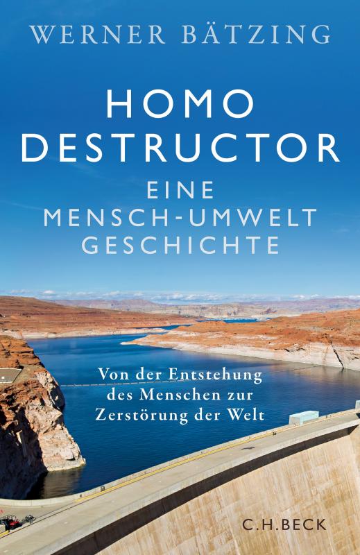 Cover-Bild Homo destructor
