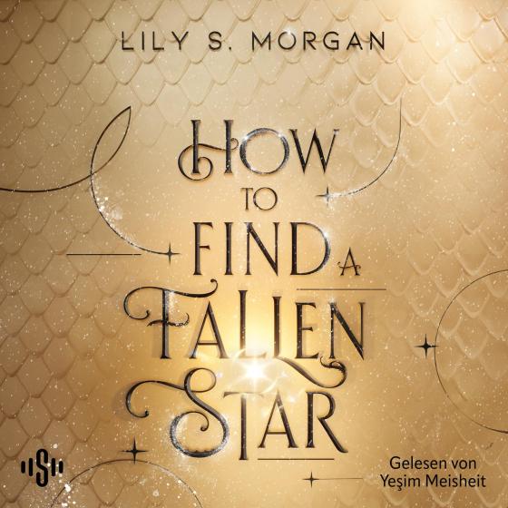 Cover-Bild How To Find A Fallen Star (New York Magics 2)