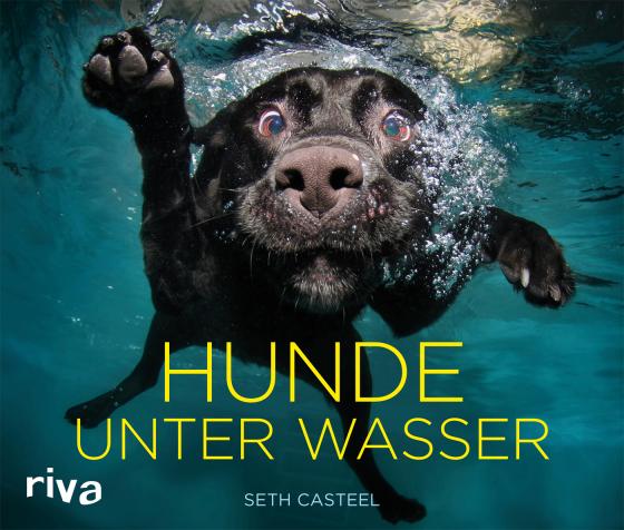 Cover-Bild Hunde unter Wasser