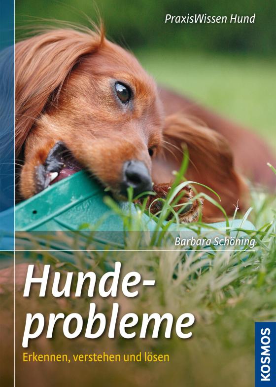 Cover-Bild Hundeprobleme