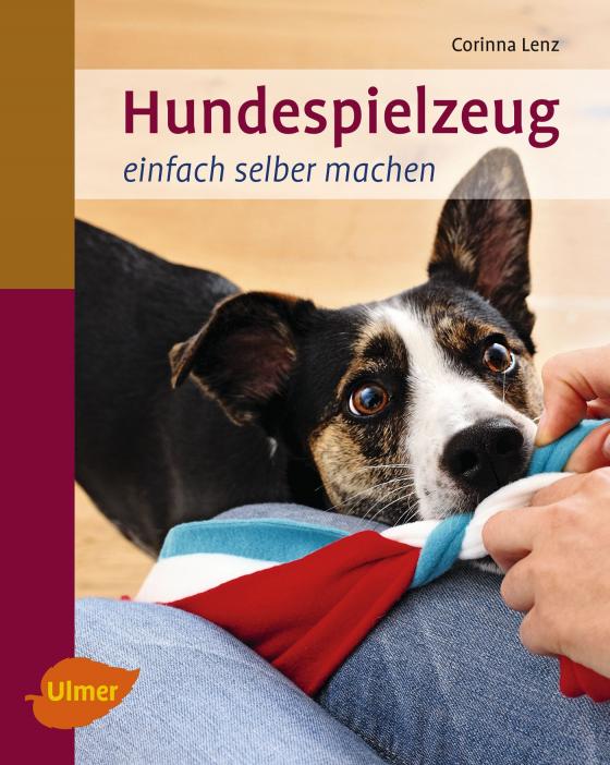 Cover-Bild Hundespielzeug einfach selber machen