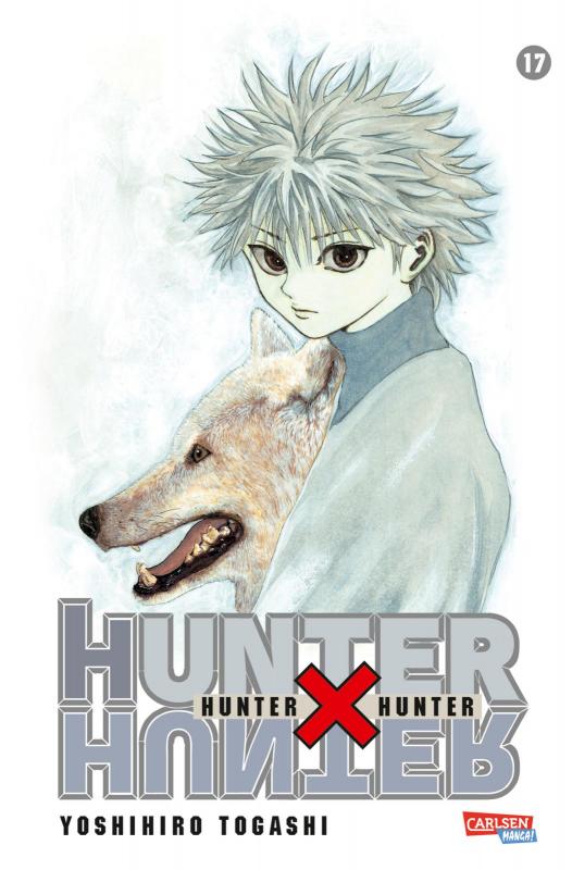 Cover-Bild Hunter X Hunter 17