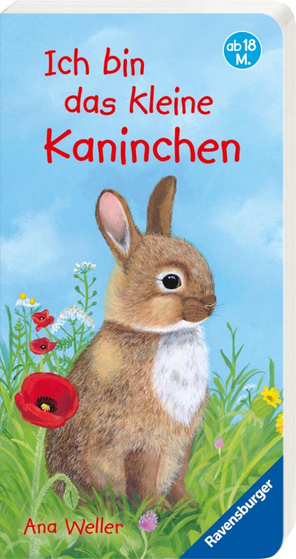 Cover-Bild Ich bin das kleine Kaninchen