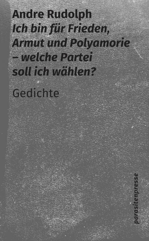 Cover-Bild Ich bin für Frieden, Armut und Polyamorie - welche Partei soll ich wählen?