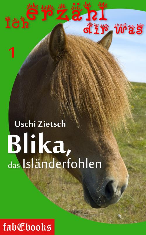 Cover-Bild Ich erzähl dir was 1: Blika, das Isländerfohlen