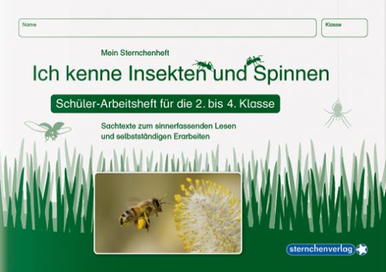 Cover-Bild Ich kenne Insekten und Spinnen - Schülerarbeitsheft für die 2. bis 4. Klasse