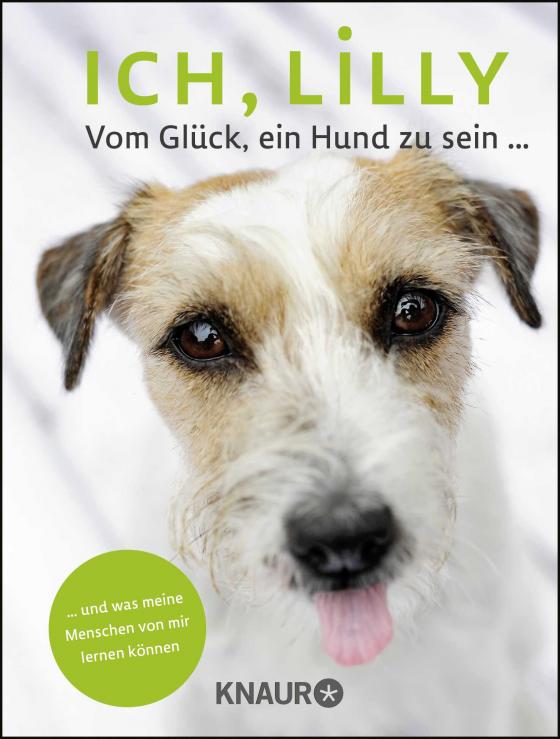 Cover-Bild Ich, Lilly