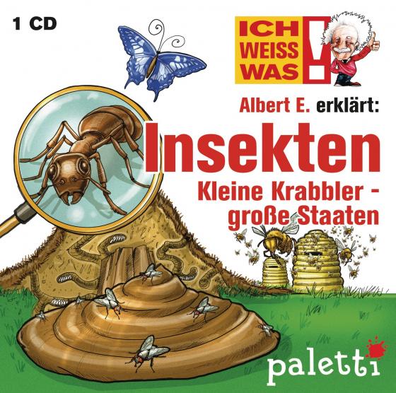Cover-Bild Ich weiß was - Albert E. erklärt : Insekten, Kleine Krabbler - große Staaten -