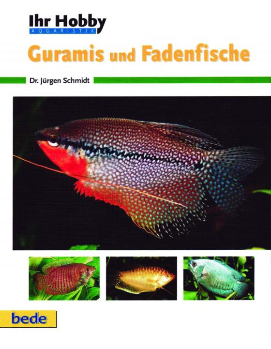 Cover-Bild Ihr Hobby Guramis und Fadenfische