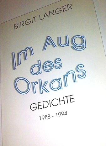 Cover-Bild Im Aug des Orkans.