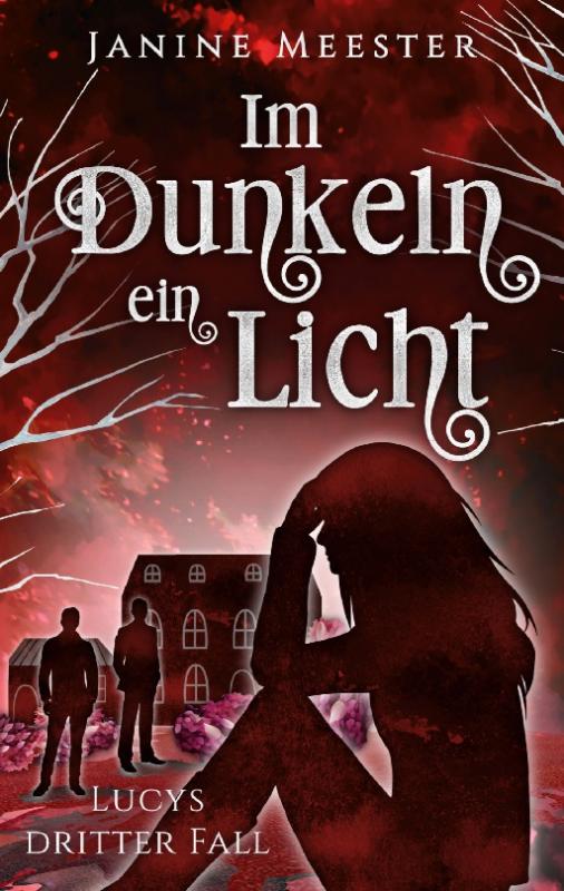 Cover-Bild Im Dunkeln ein Licht