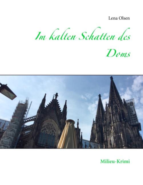 Cover-Bild Im kalten Schatten des Doms