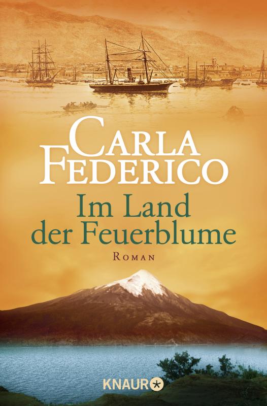 Cover-Bild Im Land der Feuerblume