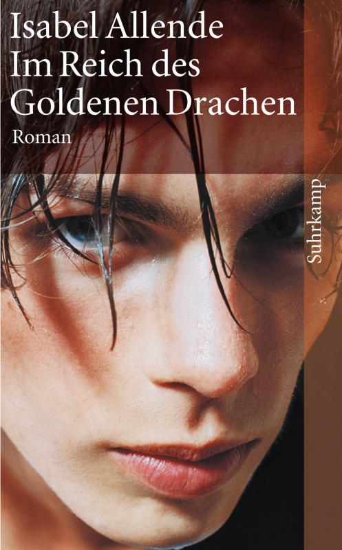 Cover-Bild Im Reich des Goldenen Drachen