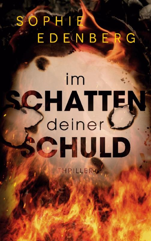 Cover-Bild Im Schatten deiner Schuld