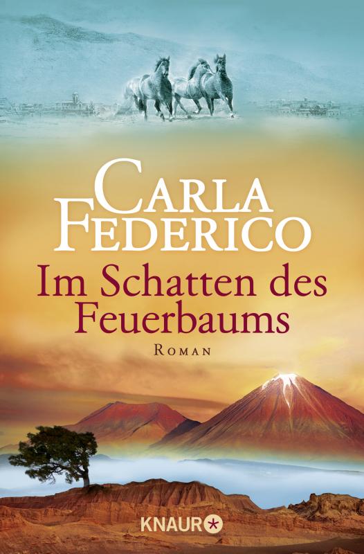 Cover-Bild Im Schatten des Feuerbaums