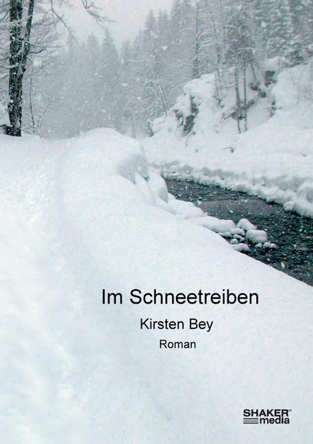 Cover-Bild Im Schneetreiben