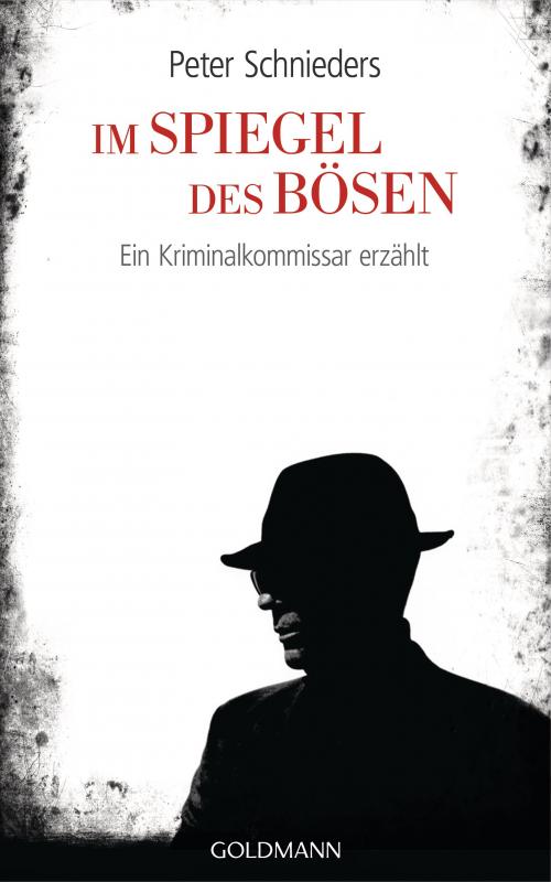 Cover-Bild Im Spiegel des Bösen