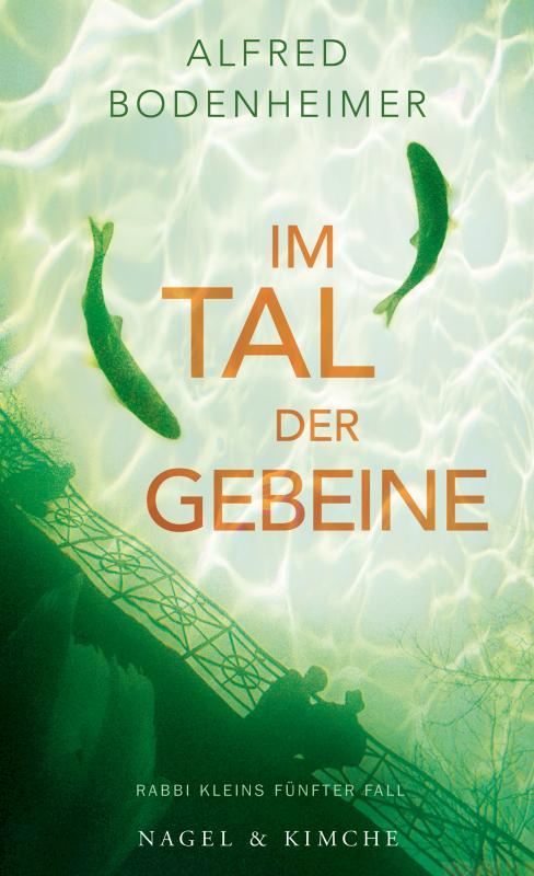 Cover-Bild Im Tal der Gebeine