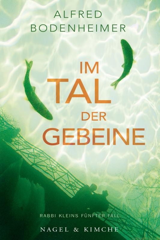 Cover-Bild Im Tal der Gebeine