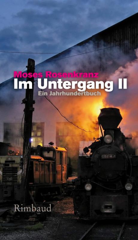 Cover-Bild Im Untergang II