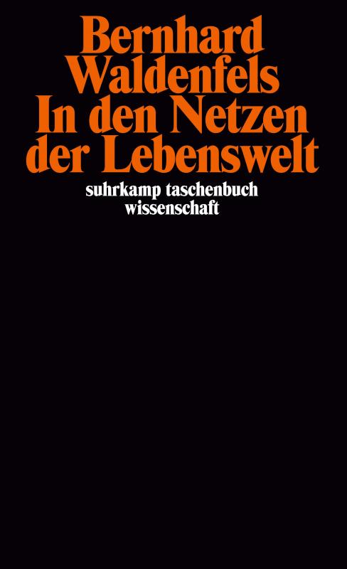 Cover-Bild In den Netzen der Lebenswelt