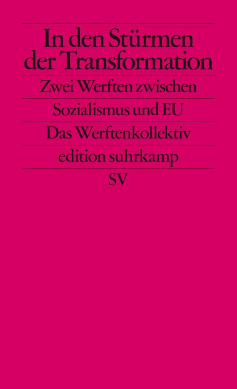 Cover-Bild In den Stürmen der Transformation