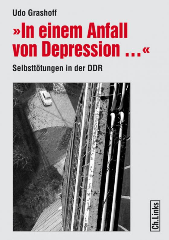 Cover-Bild In einem Anfall von Depression ...