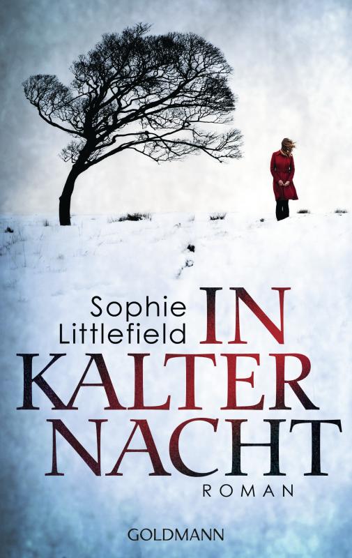 Cover-Bild In kalter Nacht