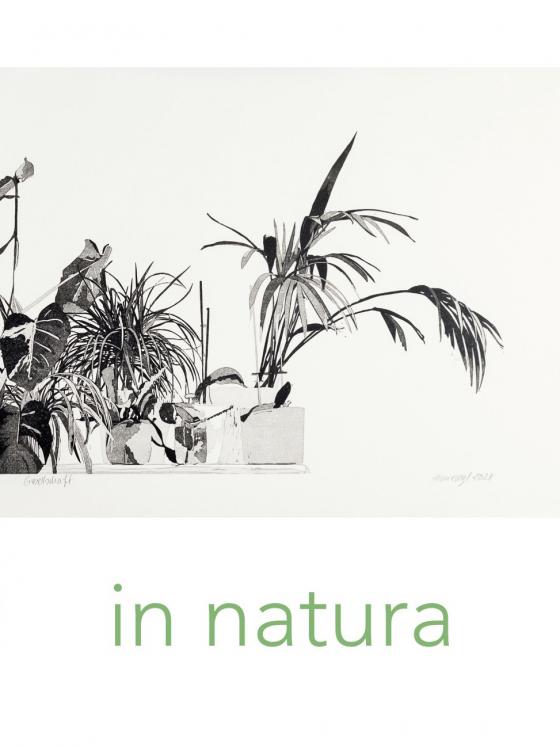 Cover-Bild in natura