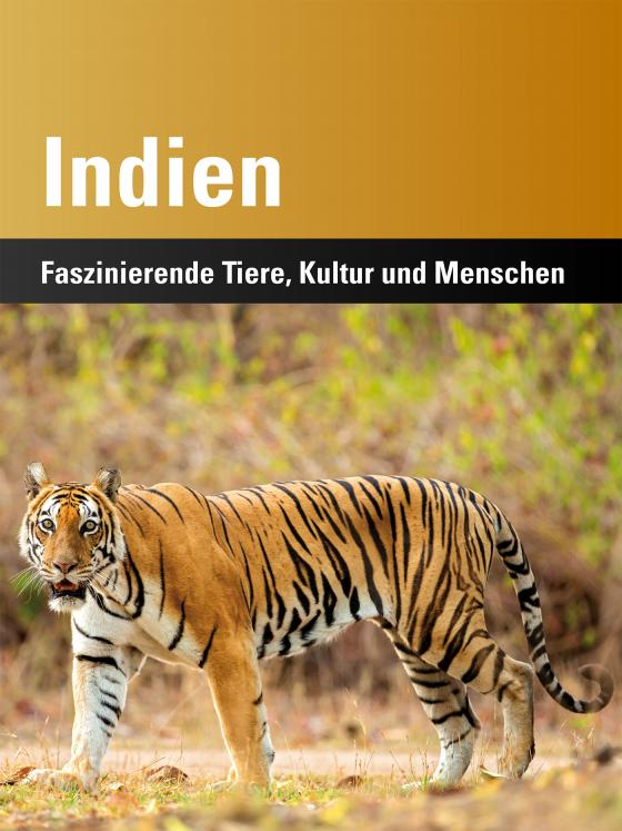 Cover-Bild Indien