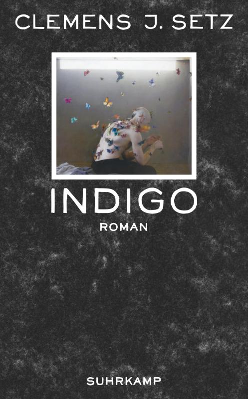 Cover-Bild Indigo