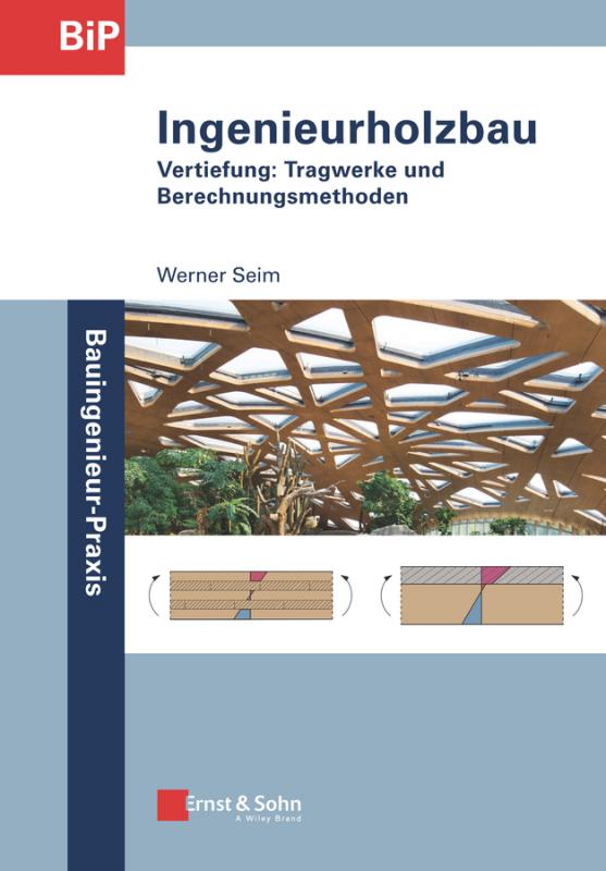 Cover-Bild Ingenieurholzbau