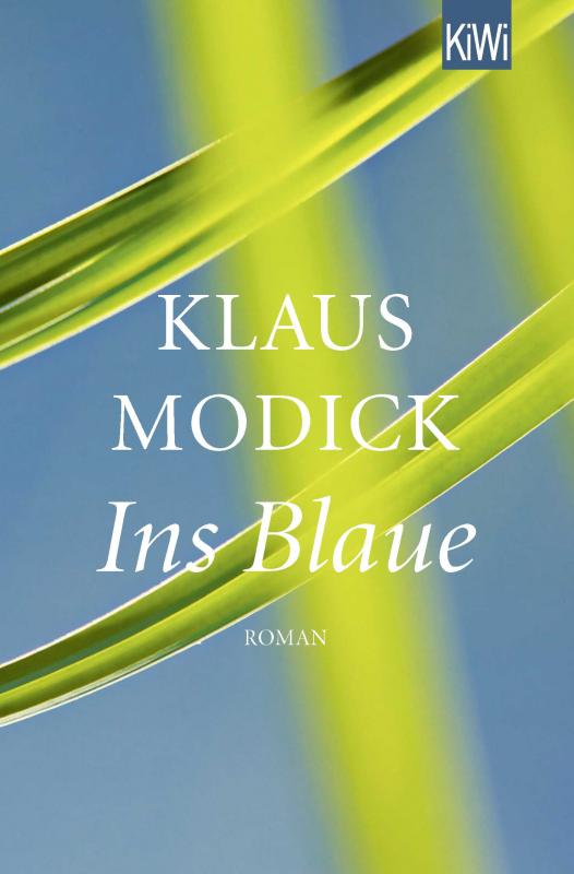 Cover-Bild Ins Blaue