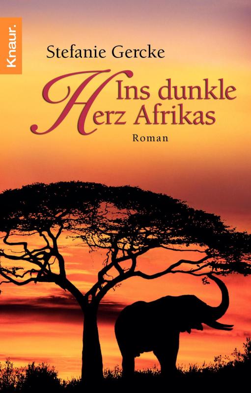 Cover-Bild Ins dunkle Herz Afrikas