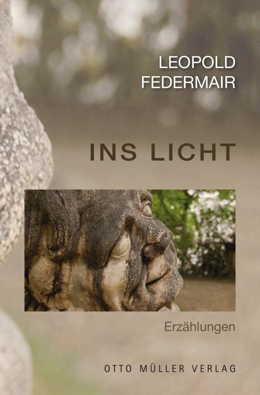 Cover-Bild Ins Licht