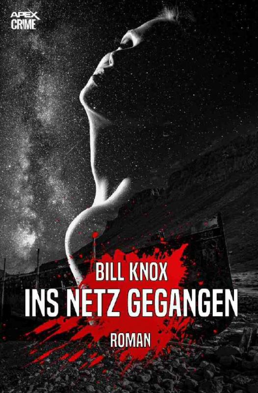 Cover-Bild INS NETZ GEGANGEN