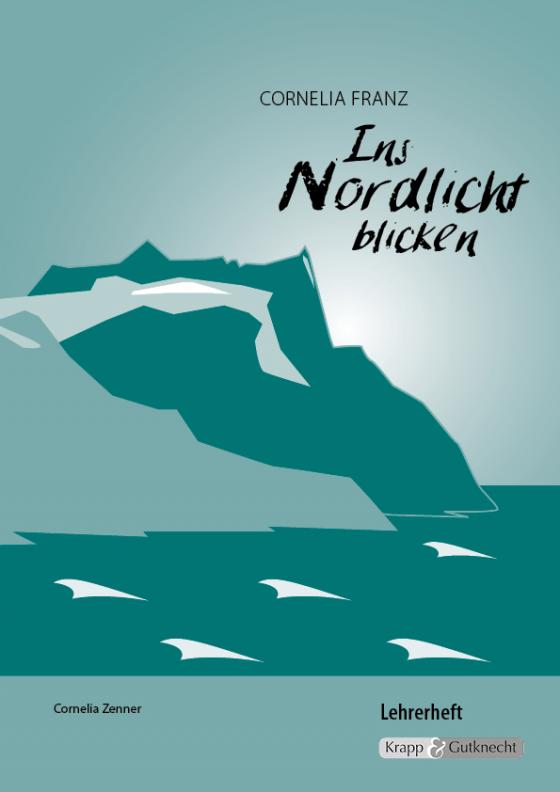 Cover-Bild Ins Nordlicht blicken - Cornelia Franz