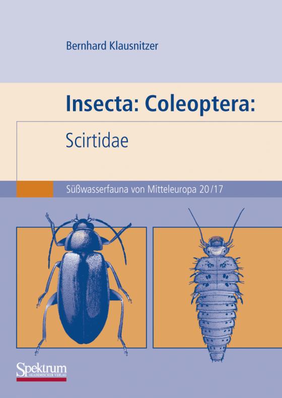 Cover-Bild Insecta: Coleoptera: Scirtidae