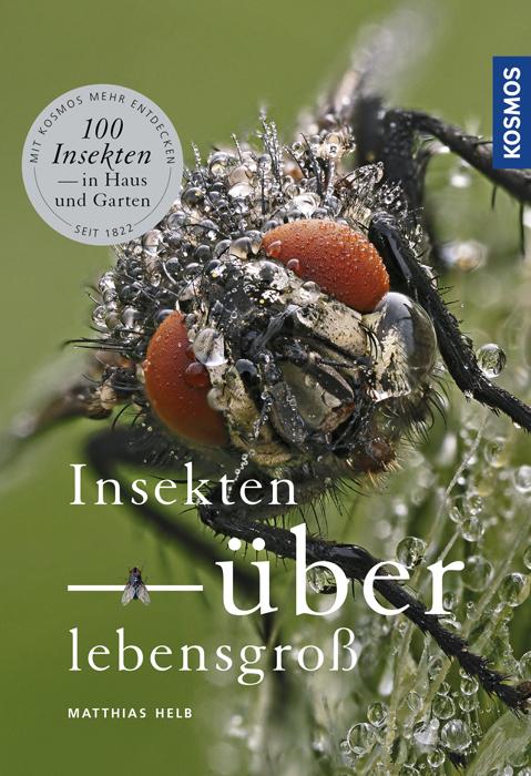 Cover-Bild Insekten überlebensgroß