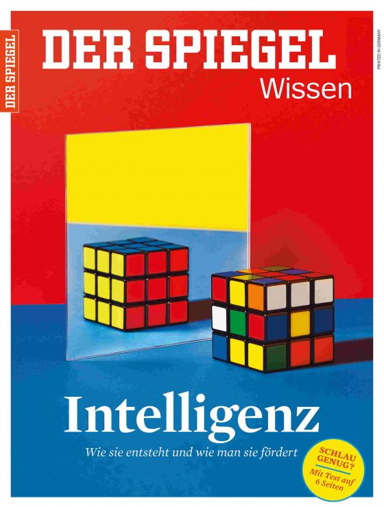 Cover-Bild Intelligenz