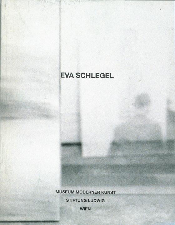 Cover-Bild Interferenzen / Raumdeutung / Eva Schlegel
