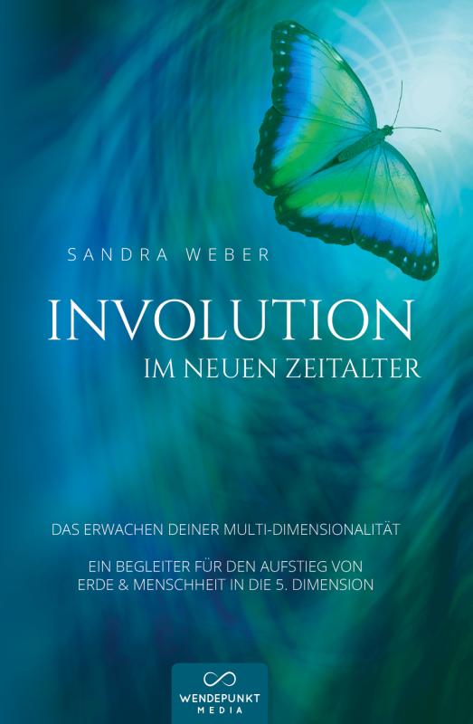 Cover-Bild Involution im neuen Zeitalter