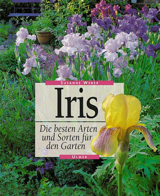 Cover-Bild Iris