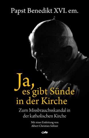 Cover-Bild Ja, es gibt Sünde in der Kirche